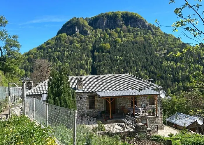Florija's Dardhe (Korce)